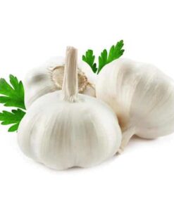 Garlic China-لہسن چائنا