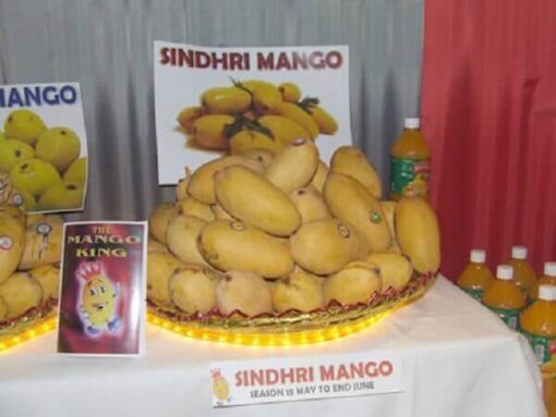 Sindhri Mangoes Door Delivery fresh and good delicious