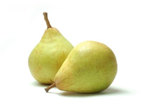 Pears-ناشپاتی