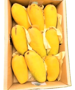 Premium Chaunsa Mango Gift Pack
