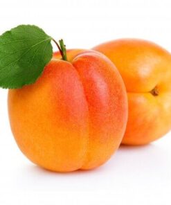 Apricot Quetta- خوبانی کوئٹہ